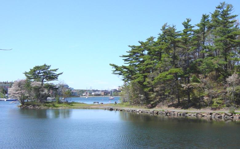 Halifax: Deadman's Island
