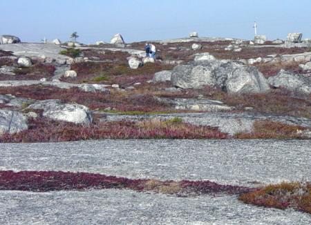 Path to the Swissair Flight 111 memorial, Whalesback.